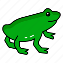 amphibian, diversity, frog, pond, ecosystems, vocalization, frogs, species, amphibi