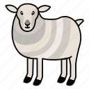 domesticated, livestock, wool, production, sheep, breeds, grazing, behavior, farming