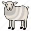 domesticated, livestock, wool, production, sheep, breeds, grazing, behavior, farming 