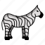 striped, equids, african, plains, wildlife, zebra, stripes, function, equine 