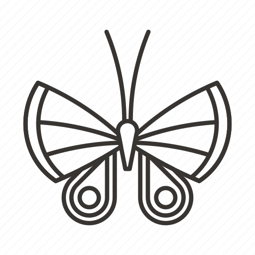 Batterfly, beauty, butterfly, insect, nature, wings icon - Download on Iconfinder