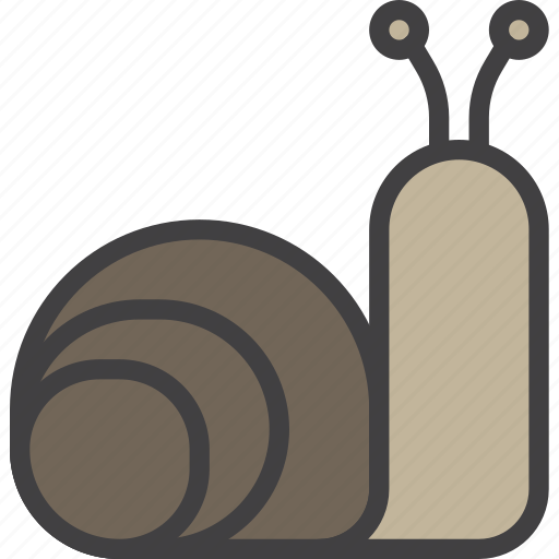 Cochlea, slow, snail icon - Download on Iconfinder