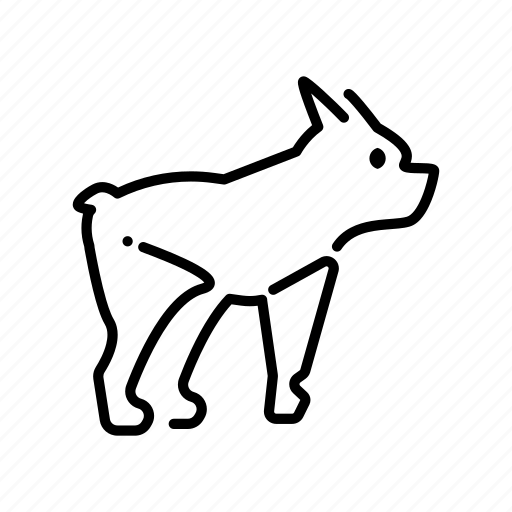 Bull, bulldog, cartoon, dog, english, french, halloween icon - Download on Iconfinder