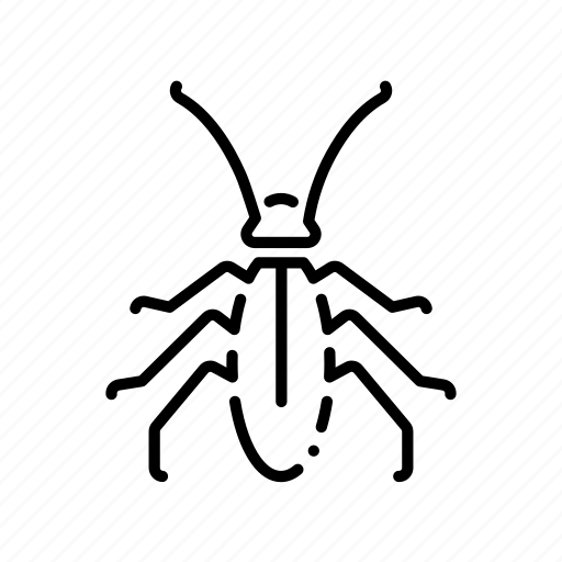 Bug, cock, cockroach, control, insect, pest, roach icon - Download on Iconfinder