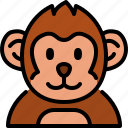 monkey, zoo, animal, wildlife, avatar