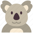 koala, zoo, animal, wildlife, avatar