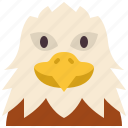 eagle, bird, zoo, animal, wildlife, avatar