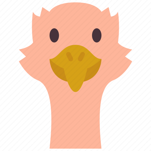 Ostrich, zoo, animal, wildlife, avatar icon - Download on Iconfinder