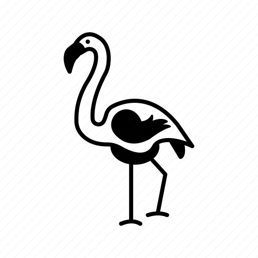 Bird, flamingo, phoenicopterus ruber, creature, specie icon - Download on Iconfinder