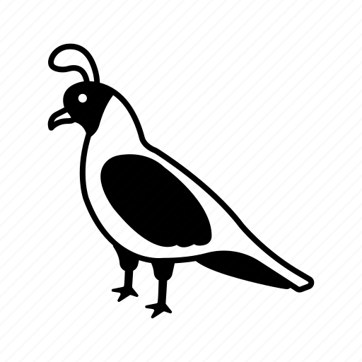 Bird, phasianidae, quail, coturnix, creature icon - Download on Iconfinder