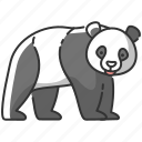 animal, bear, panda, panda icon