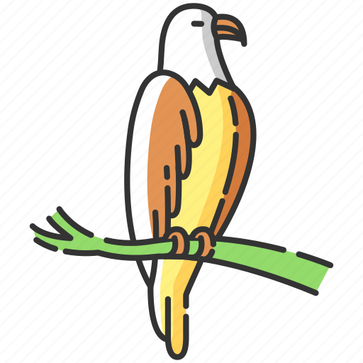 Eagle, eagle icon, falcon, hawk icon - Download on Iconfinder