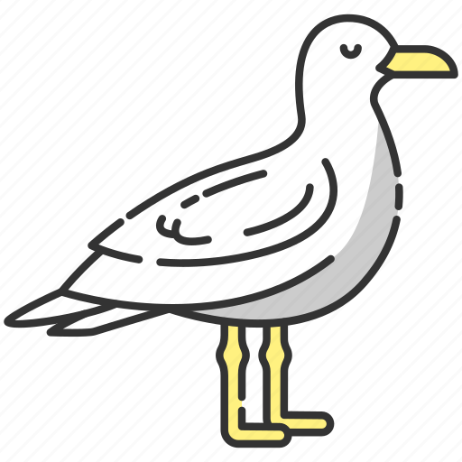 Gull, seabird, seagull, seagull icon icon - Download on Iconfinder