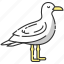 gull, seabird, seagull, seagull icon 