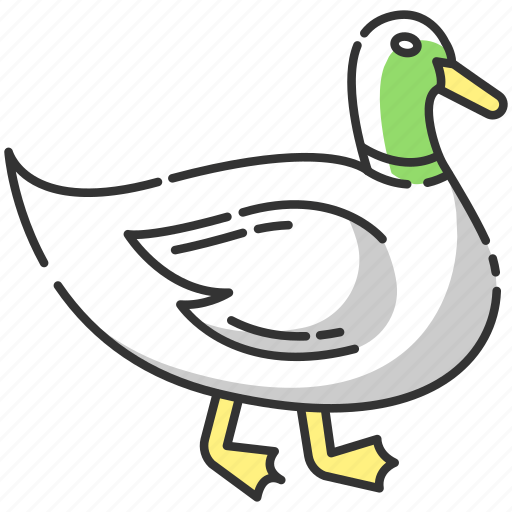 Domestic bird, duck, duck icon, mallard icon - Download on Iconfinder