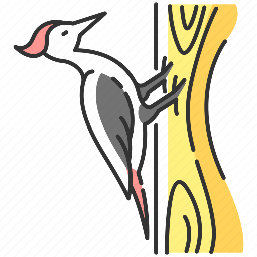 Bird, wildlife, woodpecker, woodpecker icon icon - Download on Iconfinder