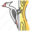 bird, wildlife, woodpecker, woodpecker icon 