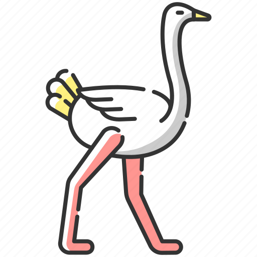Animal, exotic bird, ostrich, ostrich icon icon - Download on Iconfinder