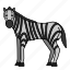 animal, horse, mammals, wild, zebra 