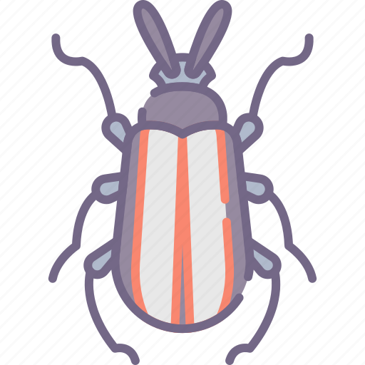 Beetle, bug icon - Download on Iconfinder on Iconfinder