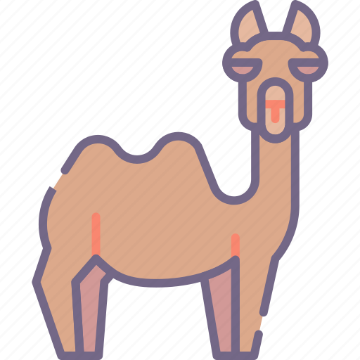 Animal, camel icon - Download on Iconfinder on Iconfinder
