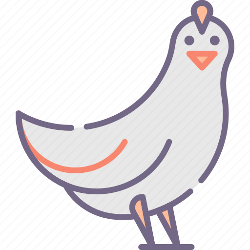 Bird, chicken icon - Download on Iconfinder on Iconfinder
