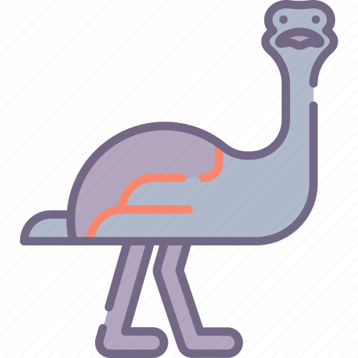 Animal, bird, emu icon - Download on Iconfinder