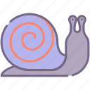 shell, slow, snail