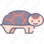 animal, tortoise, turtle 