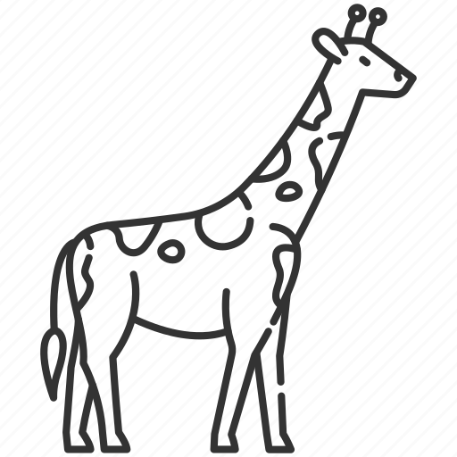 Exotic animal, giraffe, giraffe icon, wildlife icon - Download on Iconfinder