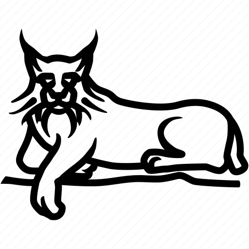 Bobcat, caracal, feline, lynx, predator, wildcat icon - Download on Iconfinder