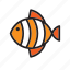 animal, fish, orange, stripped 