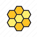 animal, bee, beehive, hexagon, pattern 