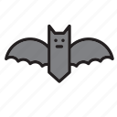 animal, bat 