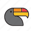 animal, bird, brazil, toucan 