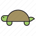 animal, pet, reptile, terrapin, tortoise, turtle 