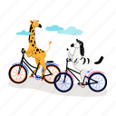 animals, zebra, giraffe, cycling