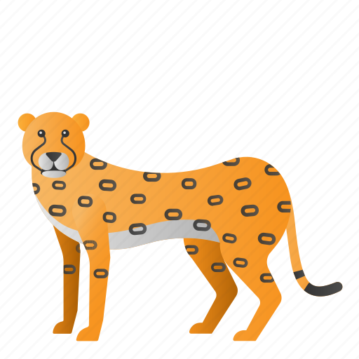 Animal, cheetah, mammals, wild, zoo icon - Download on Iconfinder