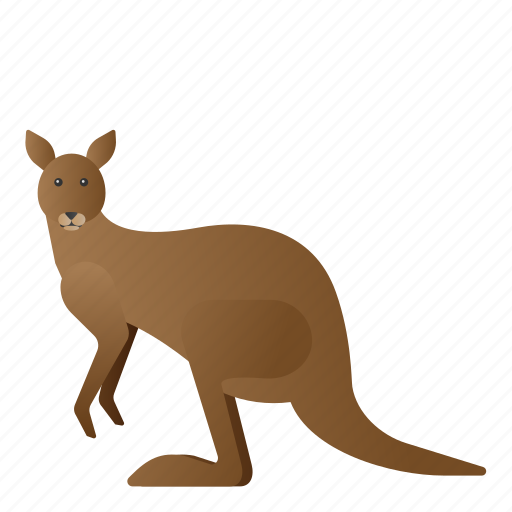 Animal, kangaroo, mammals, wild, zoo icon - Download on Iconfinder