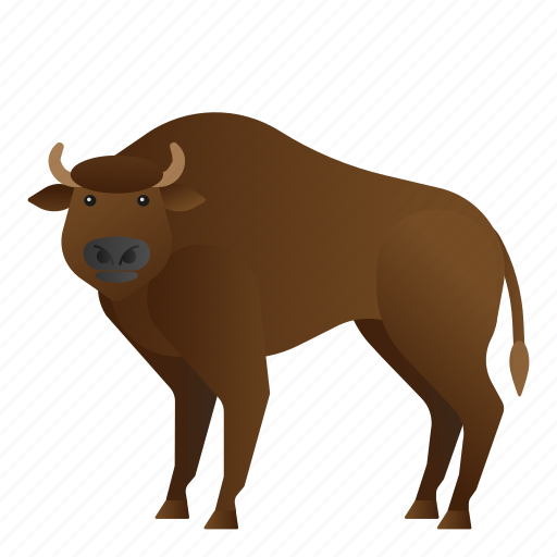 Animal, bison, mammals, wild, zoo icon - Download on Iconfinder