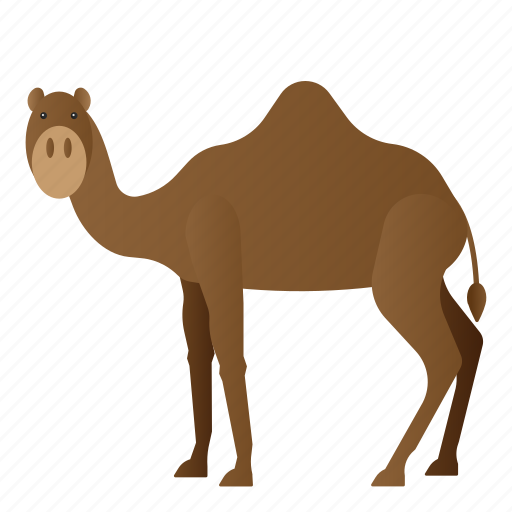 Animal, camel, mammals, wild, zoo icon - Download on Iconfinder