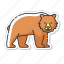 brown bear, grizzly bear, nordic fauna, dangerous woodland animal 