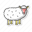 sheep, countryside mammal, domestic animal, wooly lamb