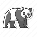 panda bear, chinese fauna, white bear, oriental forest inhabitant