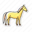 horse, wild stallion, purebred racehorse, untamed mustang