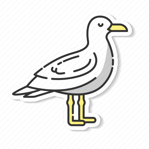 Seagull, common seabird, coastlines inhabitant, sea mew icon - Download on Iconfinder