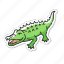 alligator, large reptile, crocodile, aquatic predator 