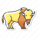 bison, large buffalo, herbivore animal, domestic livestock
