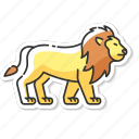 lion, carnivore animal, wild cat, dangerous predator