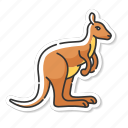 kangaroo, exotic wallaby, wild wallaroo, australian fauna